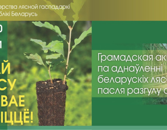 Акция - Дай лесу новую жизнь