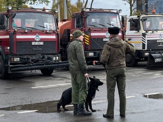 В Минске дан старт чемпионату БФСО «Динамо» по служебному многоборью кинологов