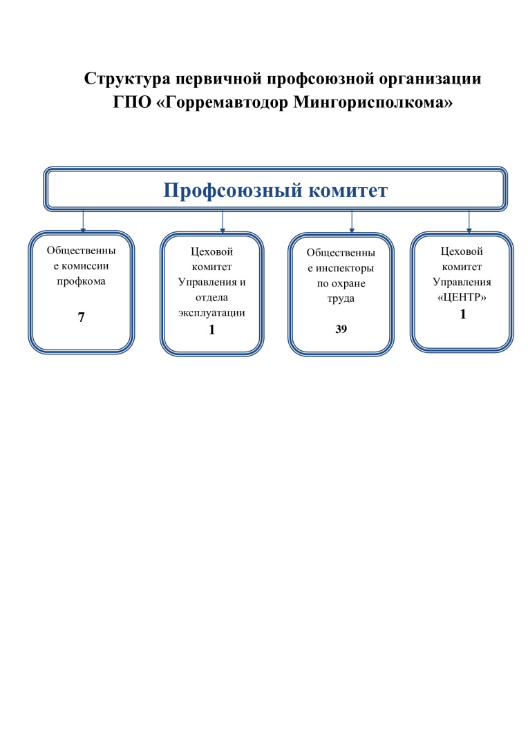 Структура первичной профсоюзной организации